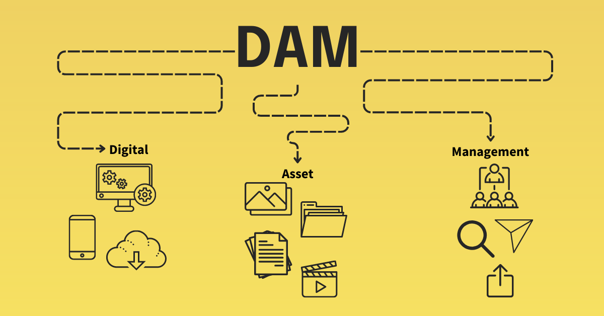 What is Digital Asset Management (DAM)?